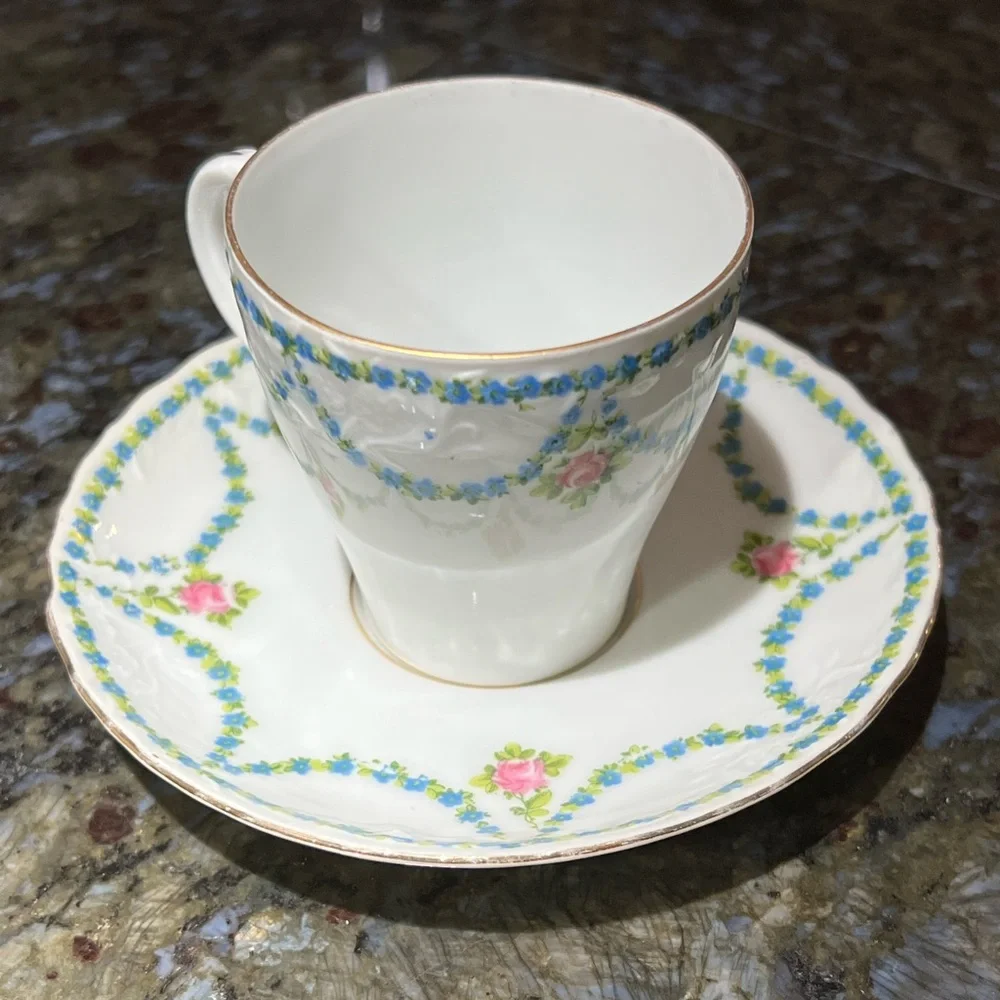 Vintage Altrohla Austria Enamel Flower Porcelain Tea Cup & Saucer collectible